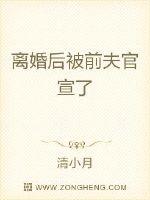 神奇宝贝：训练家从赏金猎人开始