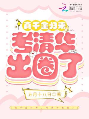 叶声声叶彻的小说免费阅读